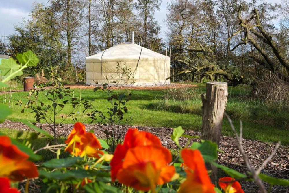 Bed and Breakfast Yurt Klyndobbe Veenwoudsterwal Екстер'єр фото